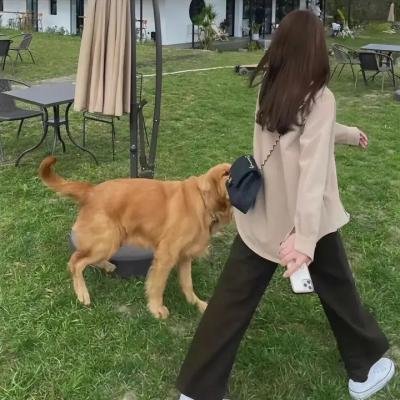 蛮牛战士