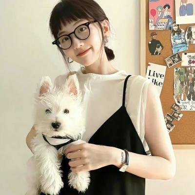 僵尸回收守则